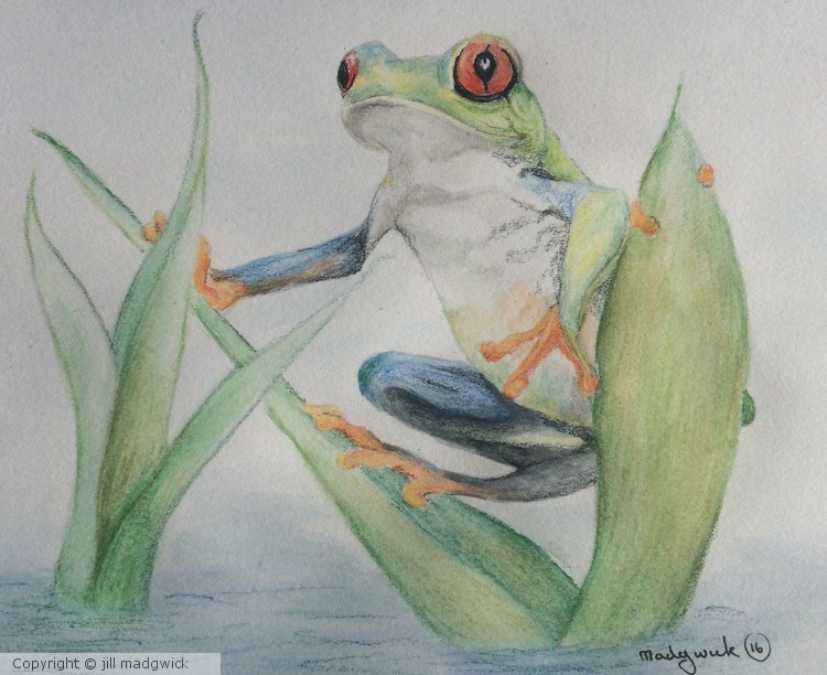 Croak , Croak