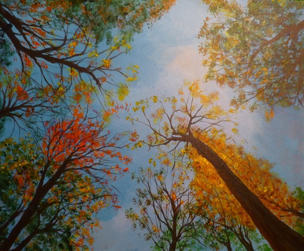 October Sky Nº 2