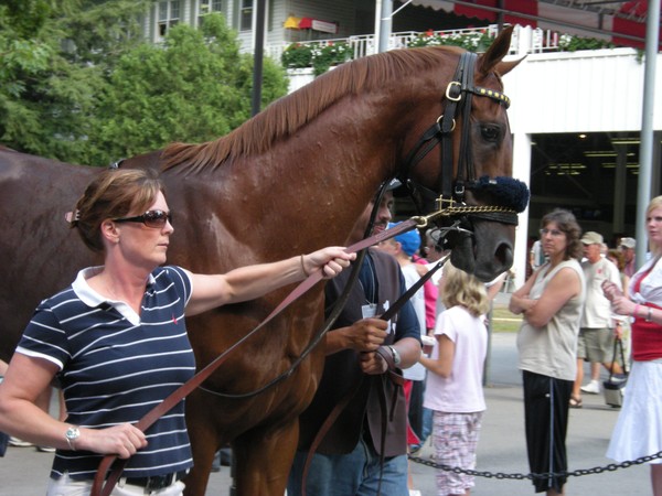 On to the Paddock