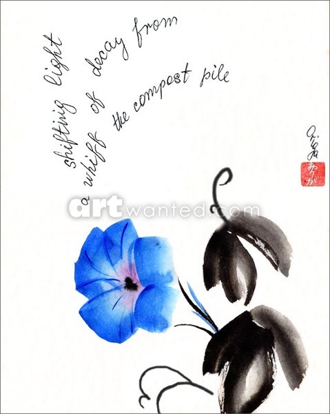 Shifting Light. Haiga