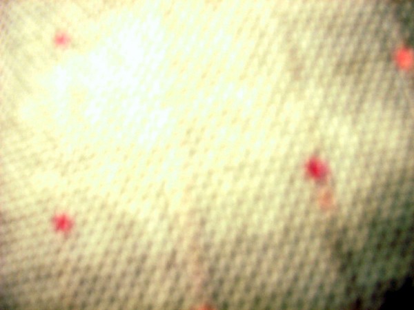 Abstract Photography - Lark age 11