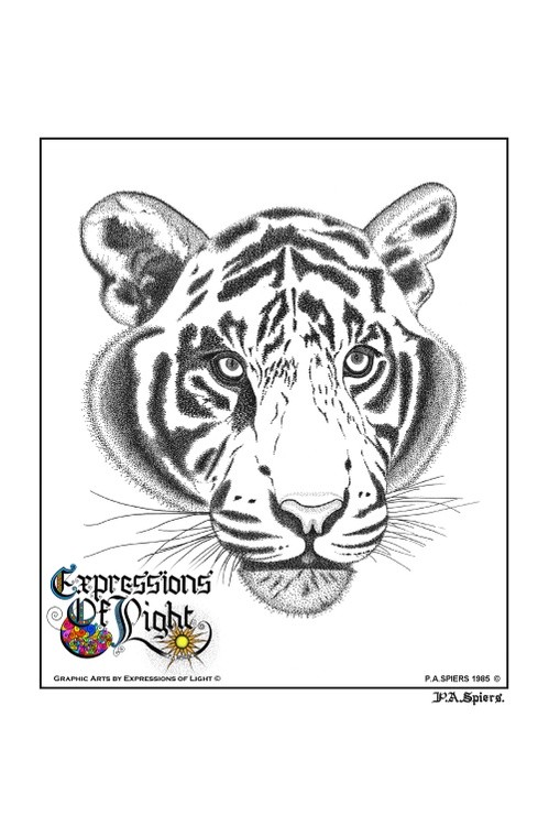 ExpoLight-Graphic-Arts-Tiger-1985-0001 (Pen-&-Ink-Mono-SP)