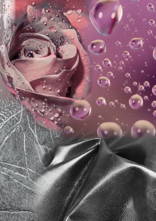 Dusty rose