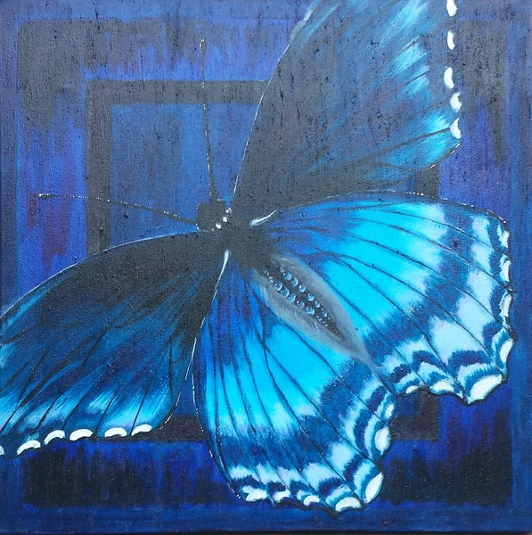 Blue Azul Butterfly