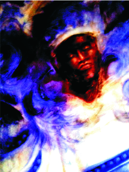Mardi Gras Indian 1