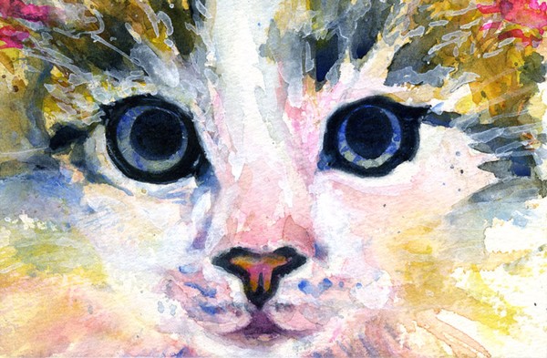Cats Eyes 10
