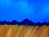Wheat Field