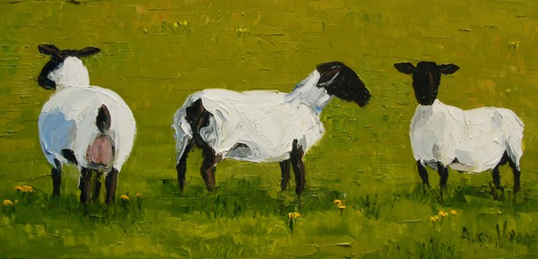 Three Ewes in a Row