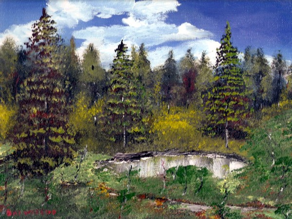 pine trees fishing hole