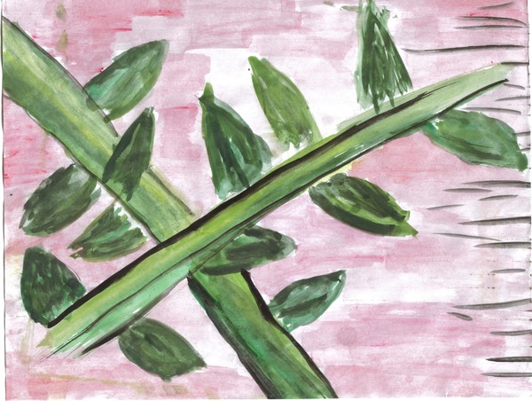 bamboo who