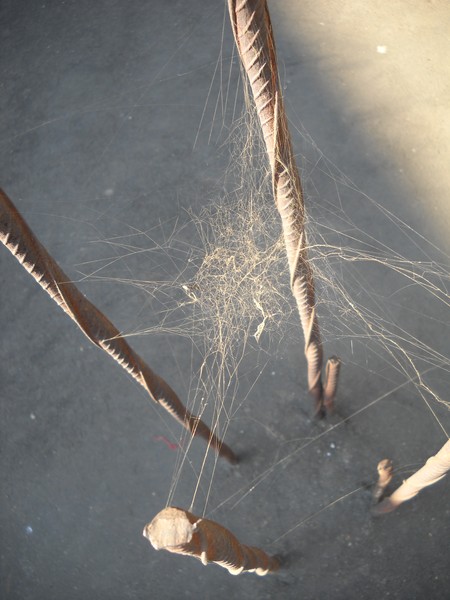 WEb Net without Spider