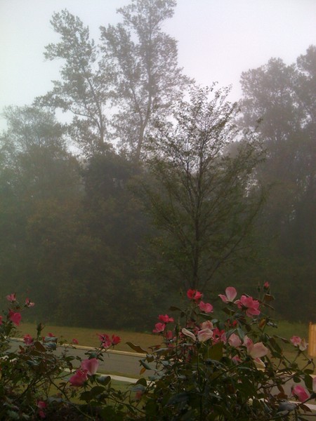 This Morning!!