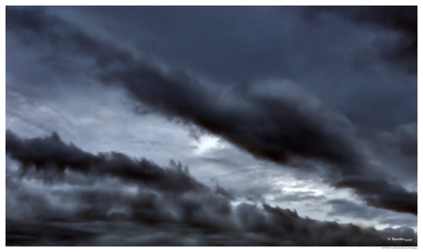 Riding the storm out
