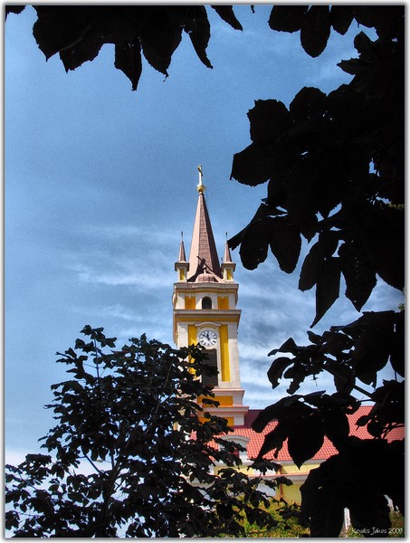 Catholic Church