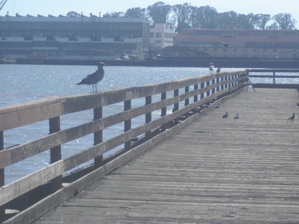 Dock of The Bay