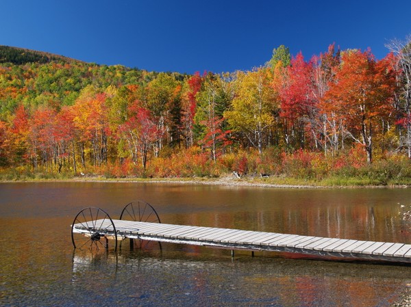 Fall Pier