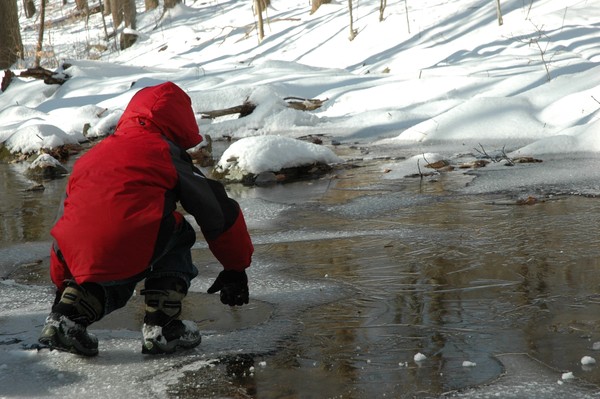 Checking the Ice