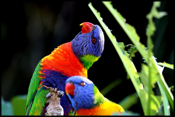 cute colours