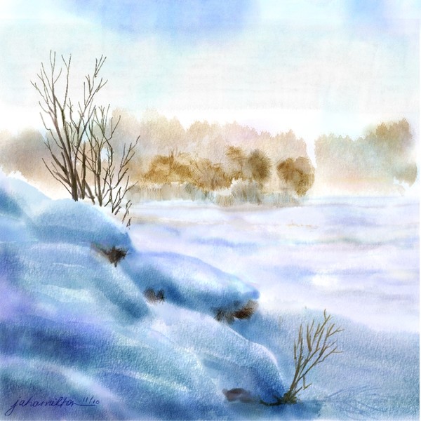 Snow Study One
