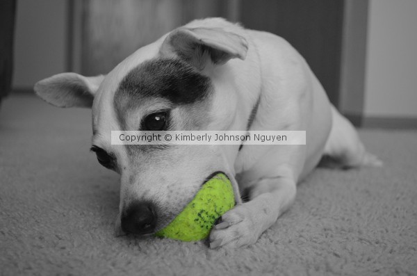 My Ball