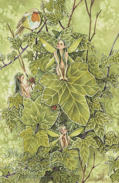 Playing in the Ivy