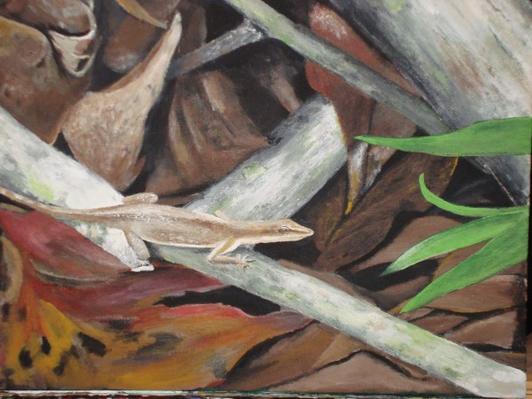 lizard thinking invisible