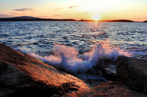 'Evening Glisten'