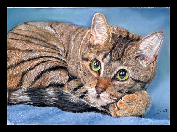 nc art orig cp tabby cat 