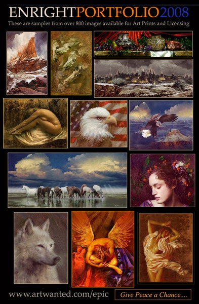 ENRIGHT PORTFOLIO 2008