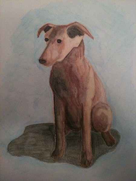 Commissioned Dog