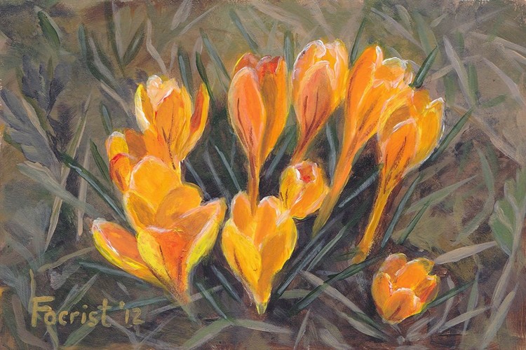 Yellow spring flowers