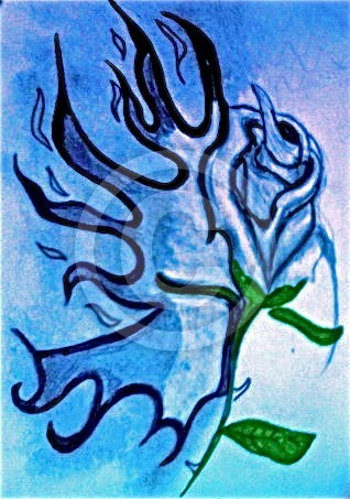 Rose on Fire