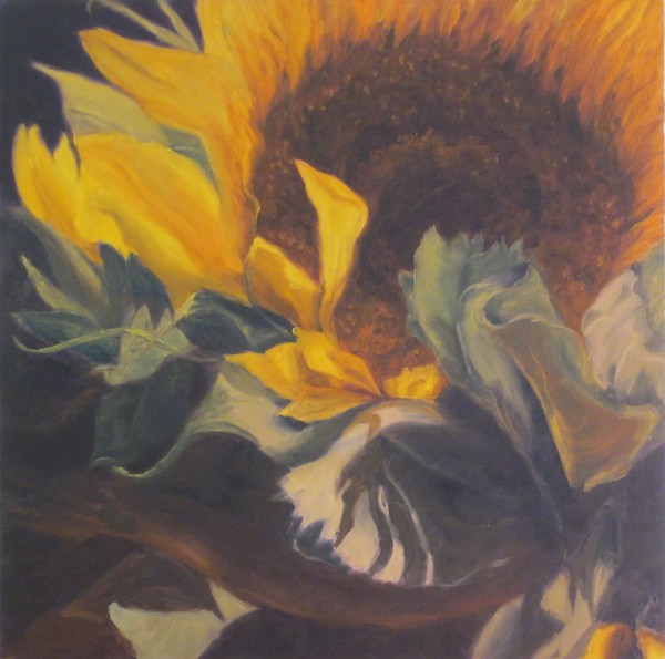 Fleur du soleil