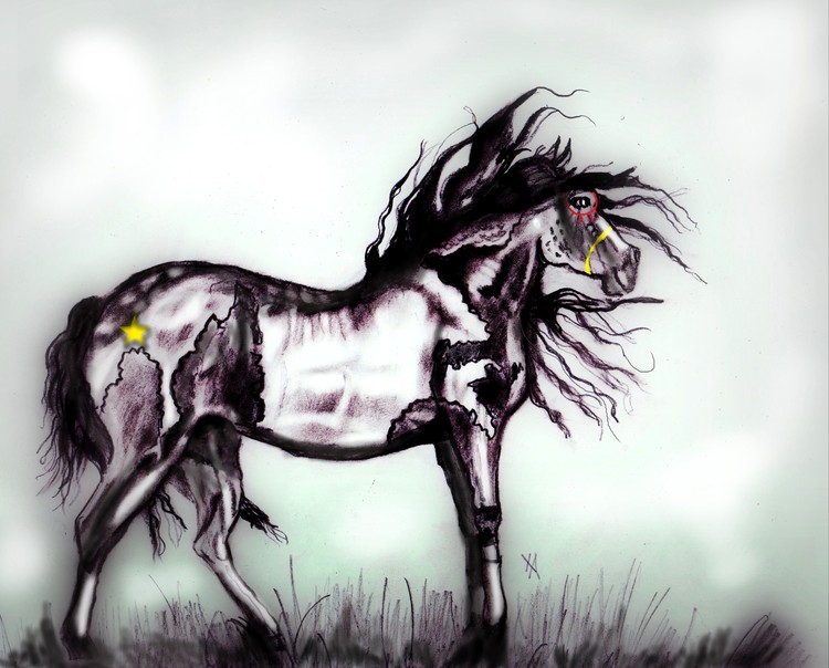 Horse with No Name