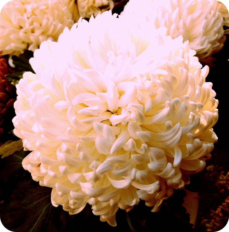 SO SOFT!