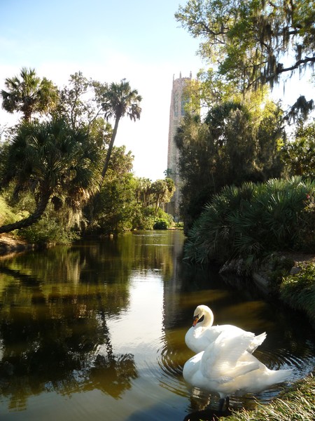 Picturesque Private Moment