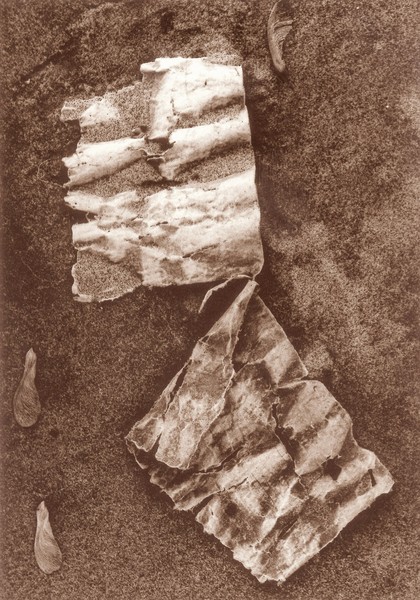 Torn paper