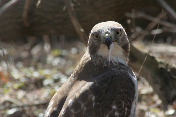 you looking at me