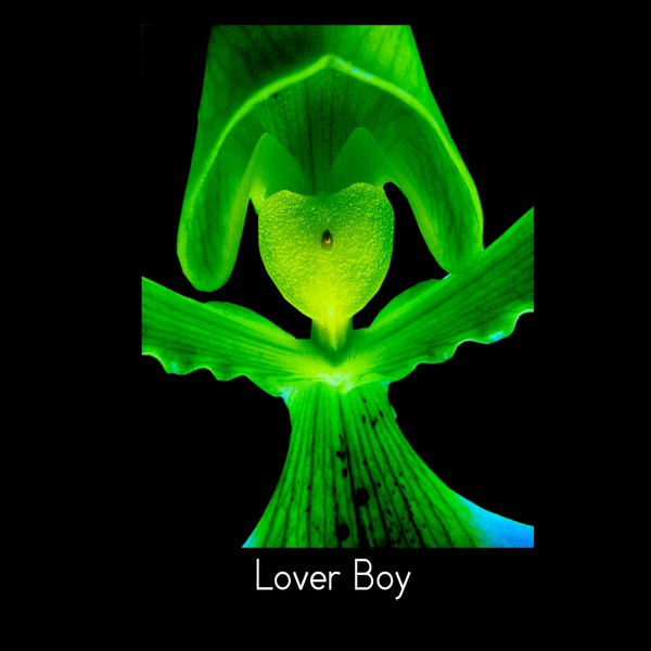 Lover Boy