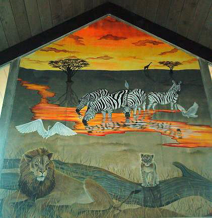 safari