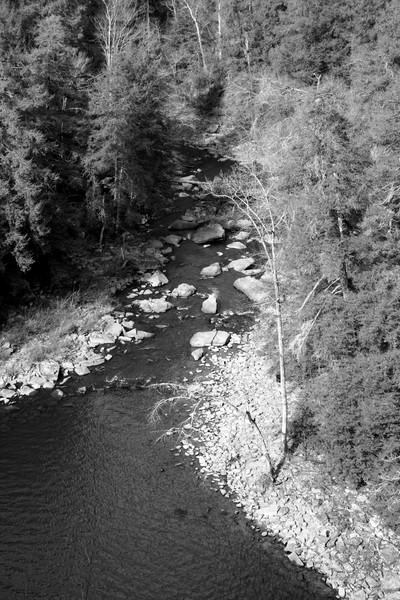 Caney Creek