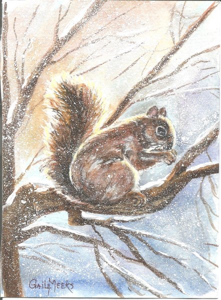squirrel