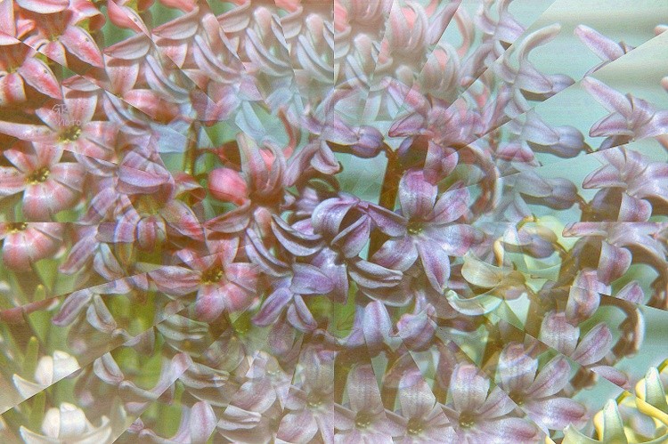 Abstract flower round