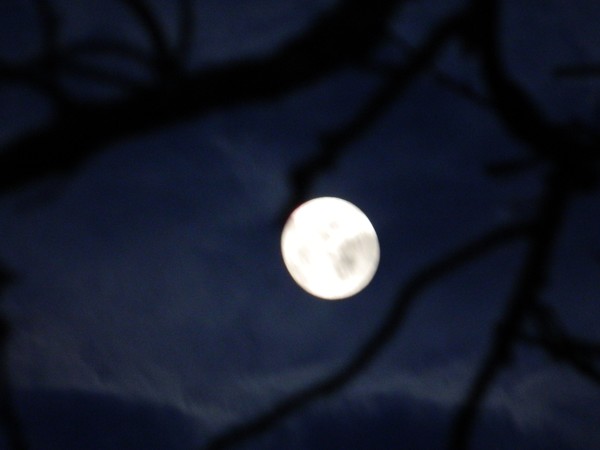 20120206 8