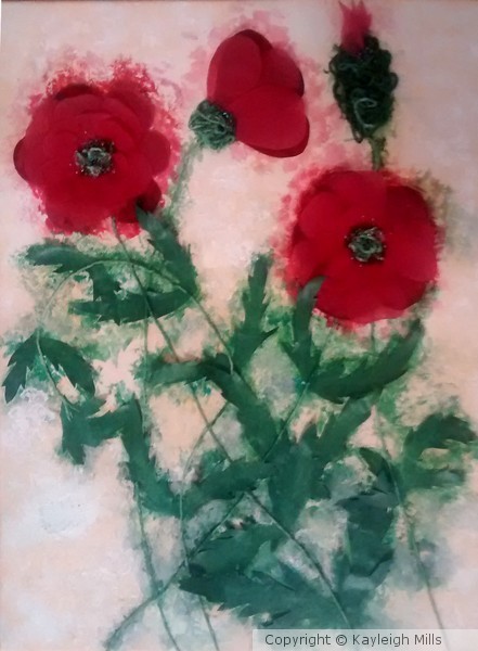Miscellaneous Poppies