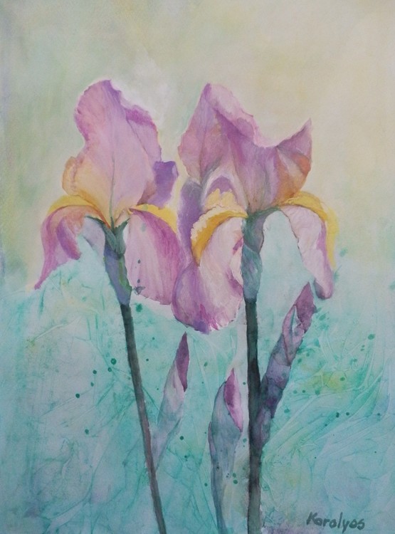 Irises -sold