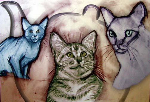 it tastes of cats!