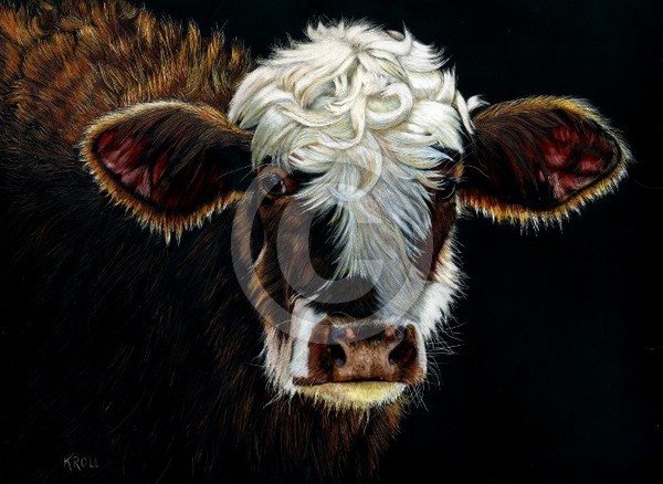 Calf in Sunlight