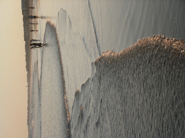 P8310398