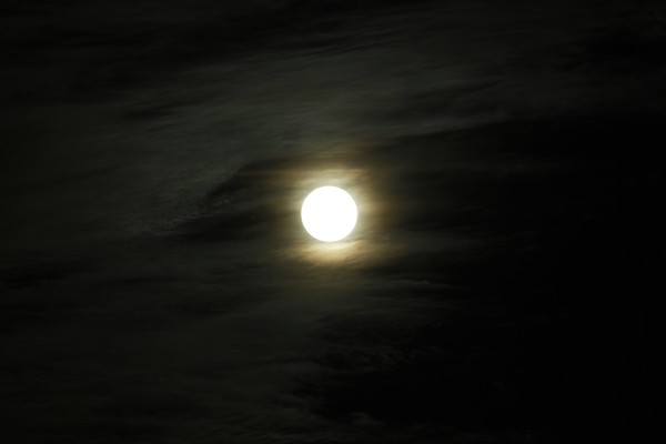 Bruins Moon